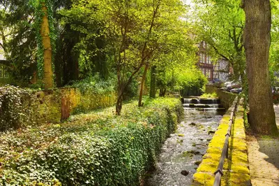 Ein Garten an der Unterkunft Ferienwohnung Goslar Runenhaus