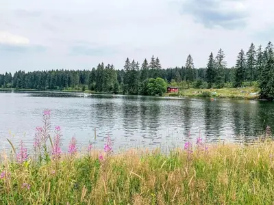 Naturlandschaft in der Nähe der Ferienwohnung