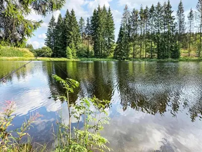 Naturlandschaft in der Nähe der Ferienwohnung
