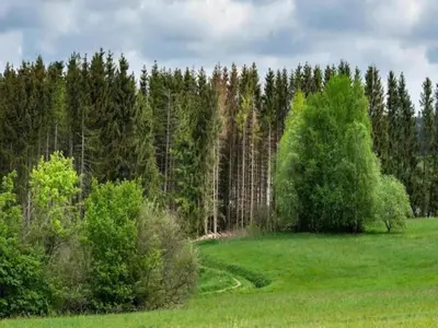 Naturlandschaft in der Nähe der Ferienwohnung
