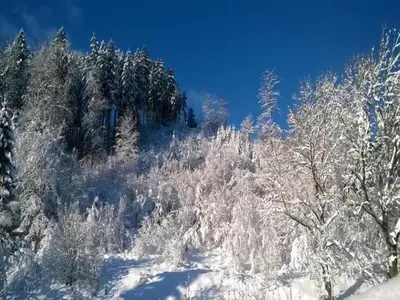 Gemütlicher Aufenthalt in Kamschlacken im Winter