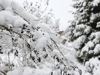 Gemütlicher Aufenthalt in Kamschlacken im Winter