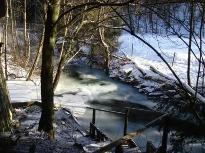 Naturlandschaft in der Nähe der Ferienwohnung
