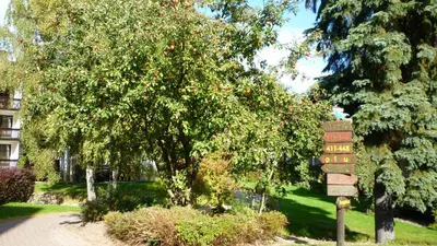 Ein Garten an der Unterkunft Hapimag Ferienwohnungen Braunlage