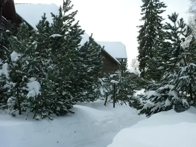 Hapimag Ferienwohnungen Braunlage im Winter