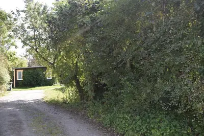 Naturlandschaft in der Nähe des Ferienhauses