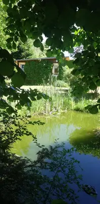 Naturlandschaft in der Nähe des Ferienhauses