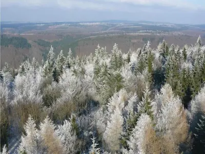 Naturlandschaft in der Nähe des Ferienhauses