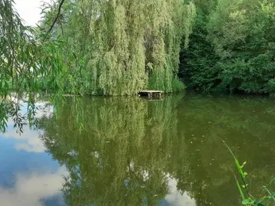 Blick auf einen Fluss in der Nähe des Ferienhauses