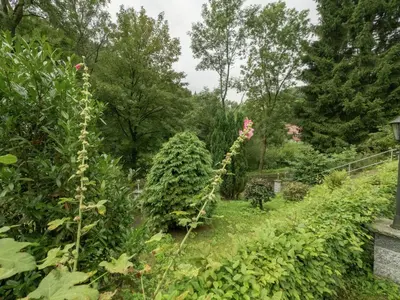Ein Garten an der Unterkunft Bungalow in Neustadt nahe Barbarossa Höhle