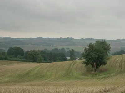 Naturlandschaft in der Nähe des Ferienhauses