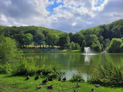 Naturlandschaft in der Nähe des Ferienhauses