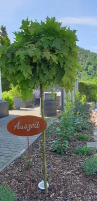 Naturlandschaft in der Nähe der Pension