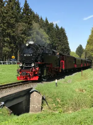 Grundriss der Unterkunft Harzer Ferienlodge