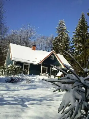 Waldhäuschen im Winter