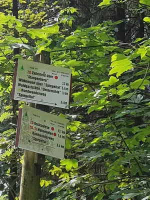 Naturlandschaft in der Nähe des Ferienhauses