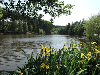 Naturlandschaft in der Nähe des Ferienhauses