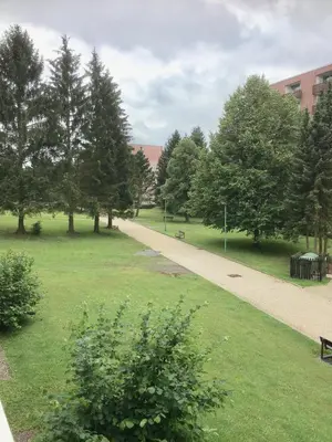 Ein Garten an der Unterkunft Ferienwohnung Heinrich ab 2 Nächte Buchung möglich 1Übernachtung ist nicht möglich