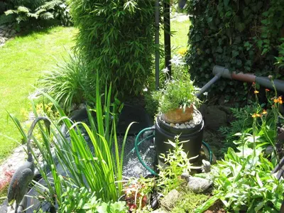 Ein Garten an der Unterkunft Ferienwohnung 