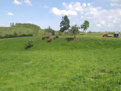 Naturlandschaft in der Nähe des Ferienhauses