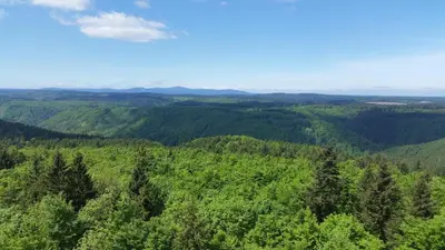 Naturlandschaft in der Nähe des Ferienhauses