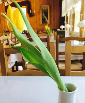 Grundriss der Unterkunft Bergcafé Mendorf