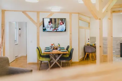 TV/Unterhaltungsangebot in der Unterkunft HarzLodge Emma