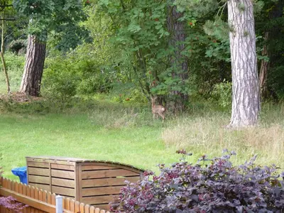 Ein Garten an der Unterkunft Ferienwohnung im Wald mit Kamin