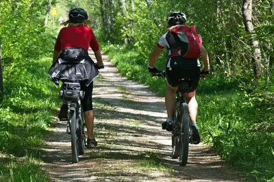 Gäste, die in der Unterkunft Pfötchenurlaub im Harz- Schöne Ferienwohnung für 2-4 Personen und Hund übernachten