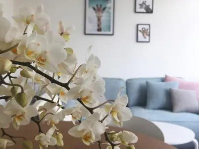 Ein Sitzbereich in der Unterkunft Pfötchenurlaub im Harz- Schöne Ferienwohnung für 2-4 Personen und Hund