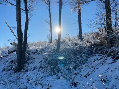 Ferienwohnung Jesper im Winter