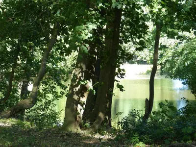 Naturlandschaft in der Nähe der Ferienwohnung