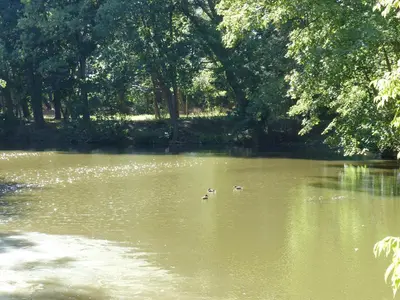 Blick auf einen Fluss in der Nähe der Ferienwohnung