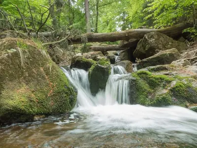 Naturlandschaft in der Nähe des Ferienhauses