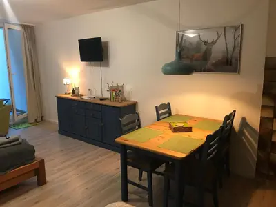 TV/Unterhaltungsangebot in der Unterkunft Apartment Harzgrün 2
