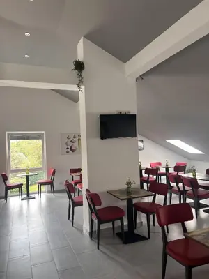 TV/Unterhaltungsangebot in der Unterkunft Hotel zur Radau