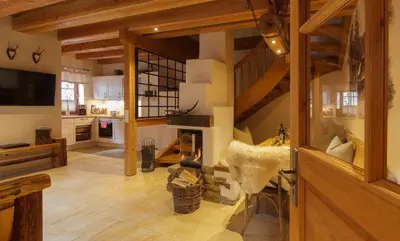 TV/Unterhaltungsangebot in der Unterkunft Chalets zum Ilsetal - Ilse-Chalet