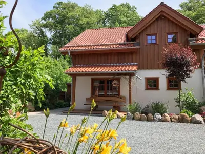 Ein Garten an der Unterkunft Chalets zum Ilsetal , Sport-Chalet