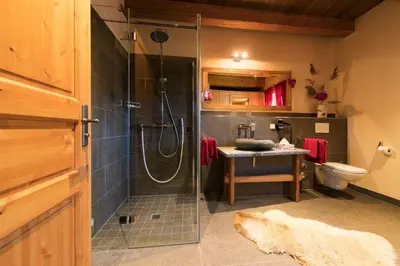 Ein Badezimmer in der Unterkunft Chalets zum Ilsetal, Jagd-Chalet