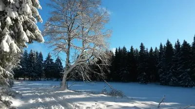 Fewo Waldblick im Winter