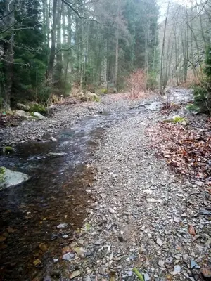 Naturlandschaft in der Nähe der Ferienwohnung