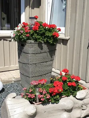 Ein Garten an der Unterkunft Macke`s Ferienwohnungen