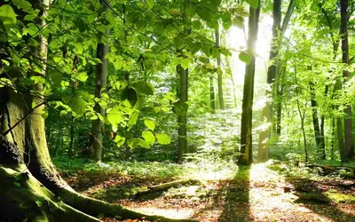 Naturlandschaft in der Nähe des Ferienhauses