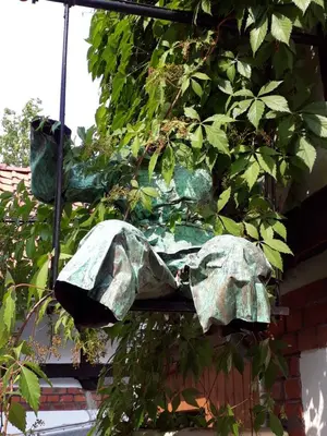 Ein Garten an der Unterkunft Apartment Zeitreise