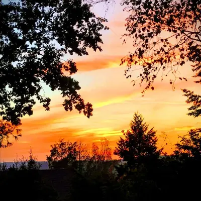 Naturlandschaft in der Nähe des Ferienhauses