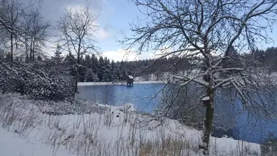 Naturlandschaft in der Nähe der Ferienwohnung