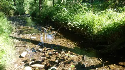 Naturlandschaft in der Nähe der Ferienwohnung