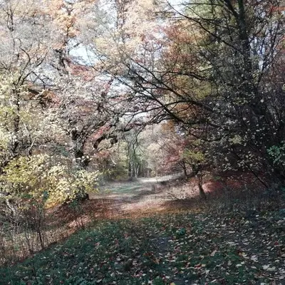 Naturlandschaft in der Nähe der Ferienwohnung