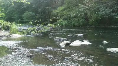 Naturlandschaft in der Nähe der Ferienwohnung