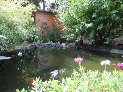 Ein Garten an der Unterkunft Ferienwohnung Bornemann